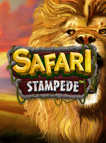 Safari Stampede