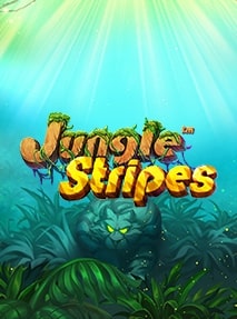 Jungle Stripes