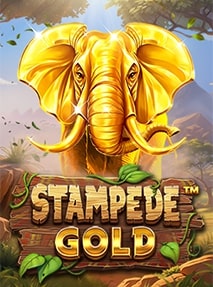 Stampede Gold