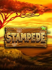 Stampede