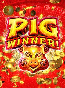 Pig Winner