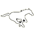 Calgary Stampeders