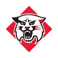 Davidson Wildcats